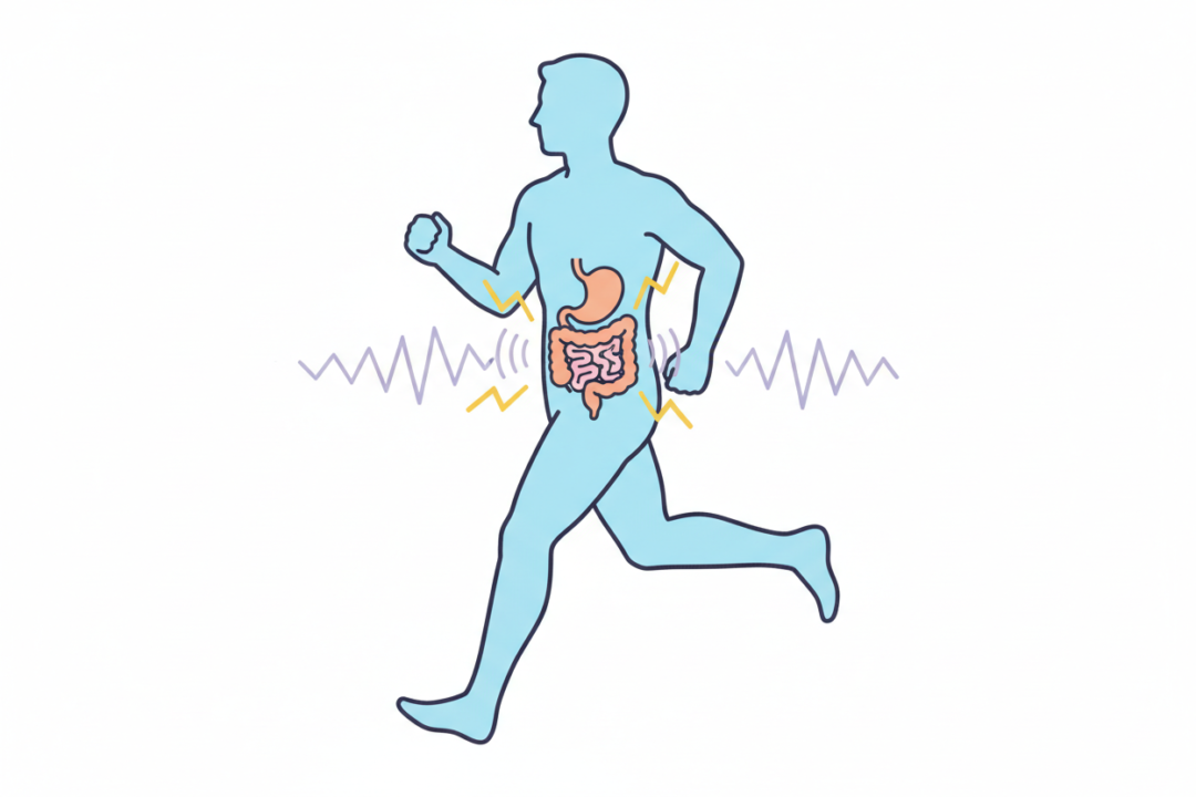 走っている時に胃や腸が揺れて刺激を受けているイメージ図