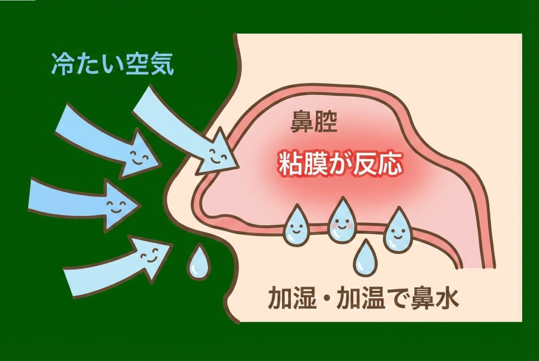 寒暖差で鼻水が出るメカニズムの図解
