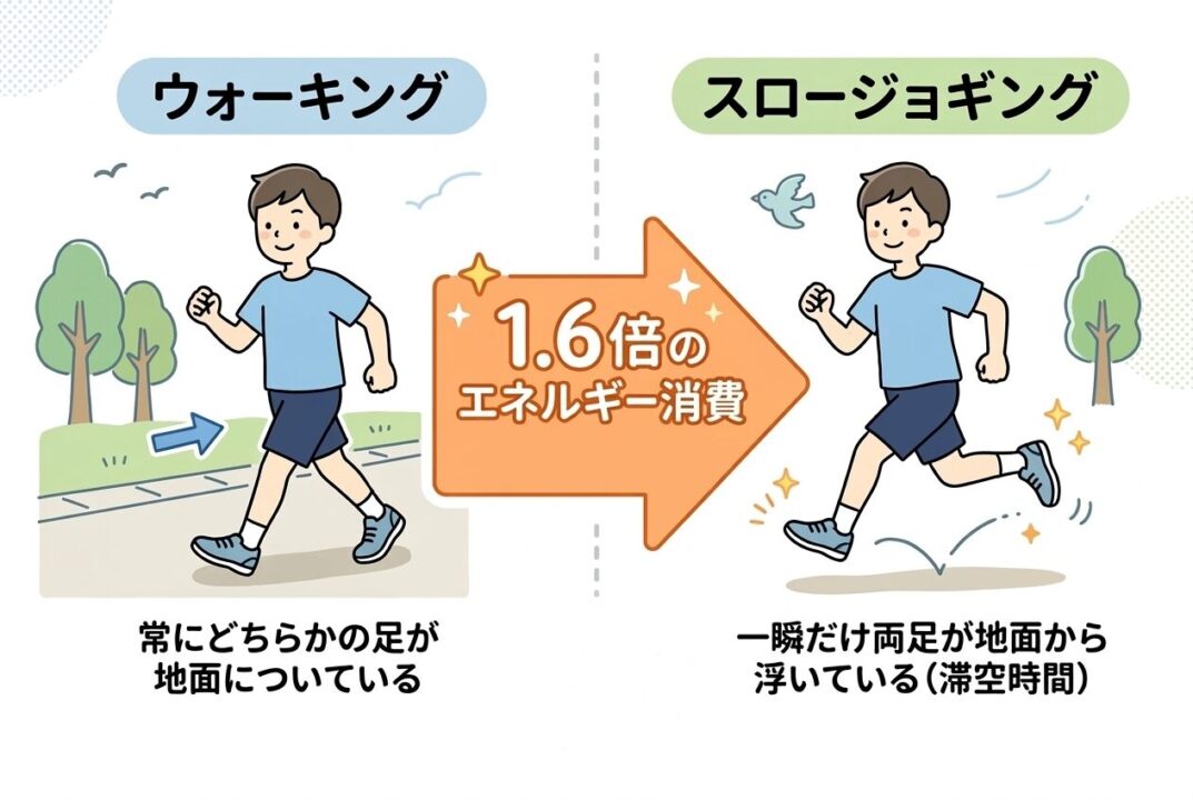 ウォーキングとスロージョギングの接地と滞空時間の比較図