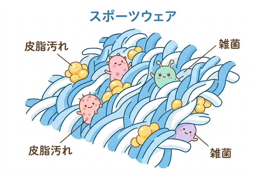 ウェアの繊維の隙間に皮脂汚れと雑菌が詰まっている様子を示す断面図